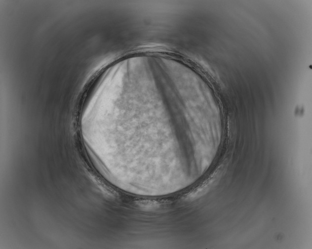 X0000094451405200712061150