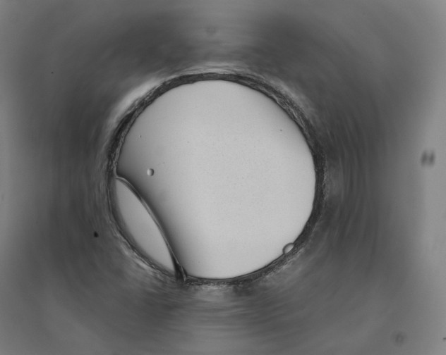 X0000094451406200712061150