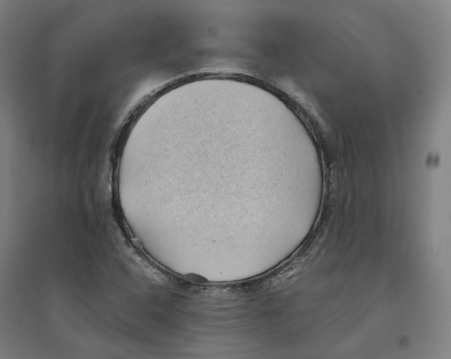 X0000094451408200712061150