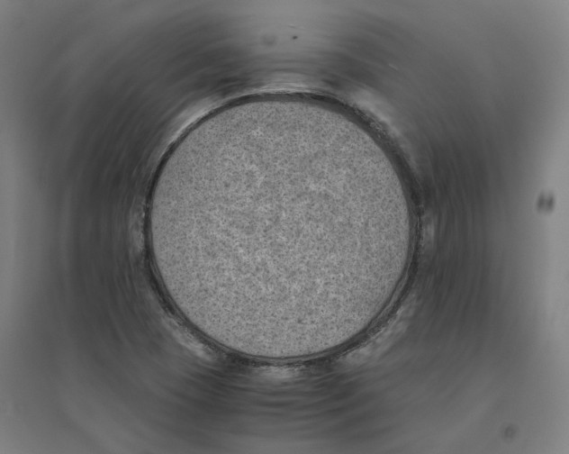 X0000094451409200712061150