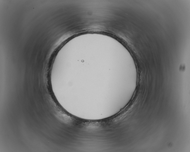 X0000094451410200712061150