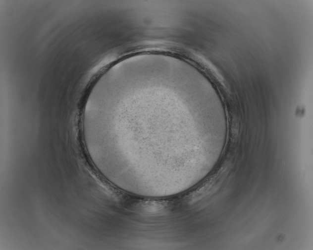 X0000094451411200712061150