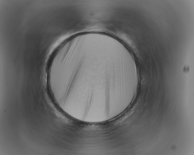 X0000094451414200712061150