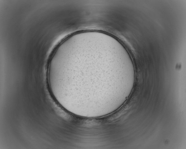 X0000094451416200712061150