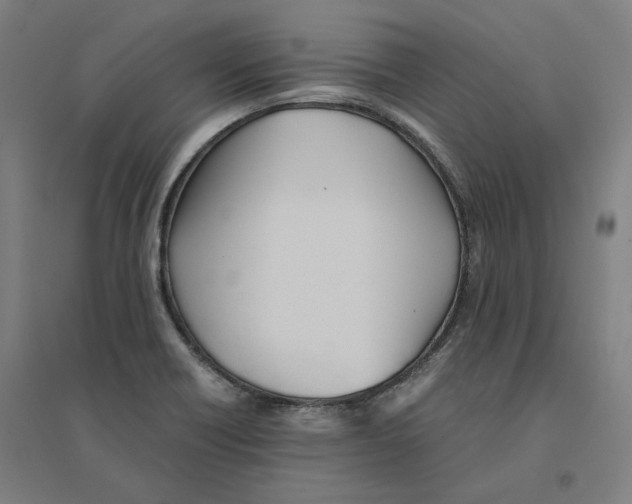 X0000094451418200712061150