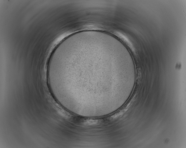 X0000094451419200712061150