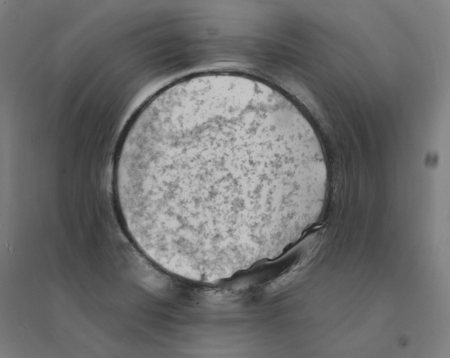 X0000094451420200712061150