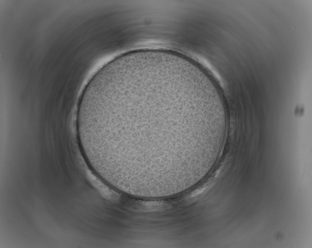 X0000094451421200712061150