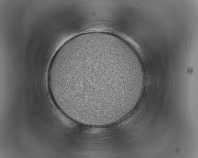 X0000094451423200712061150