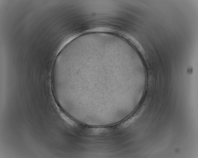 X0000094451425200712061150