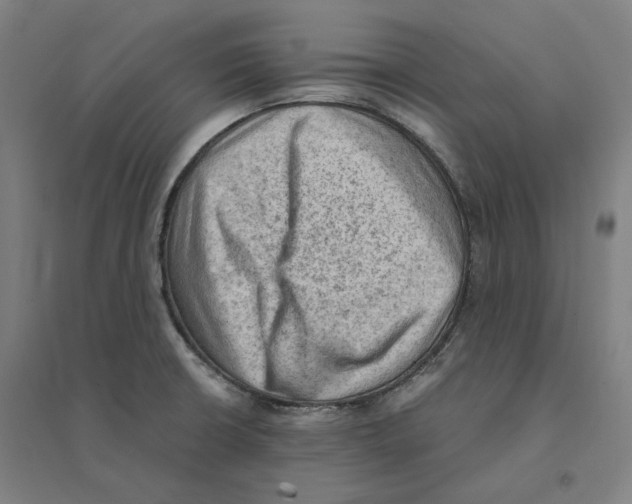 X0000094451426200712061151