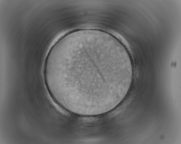 X0000094451429200712061151