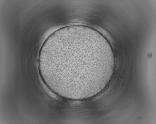 X0000094451431200712061151