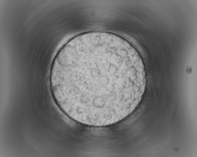 X0000094451432200712061151