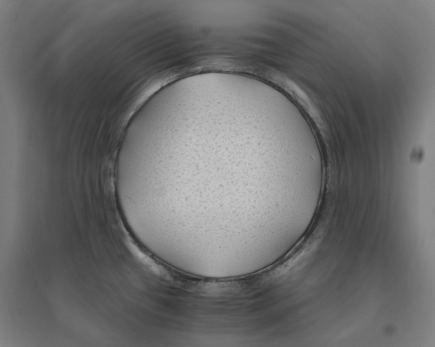 X0000094451433200712061151