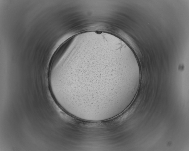 X0000094451434200712061151