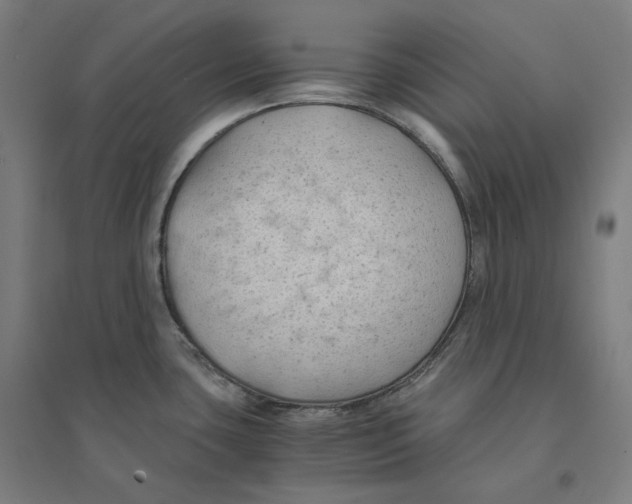 X0000094451435200712061151