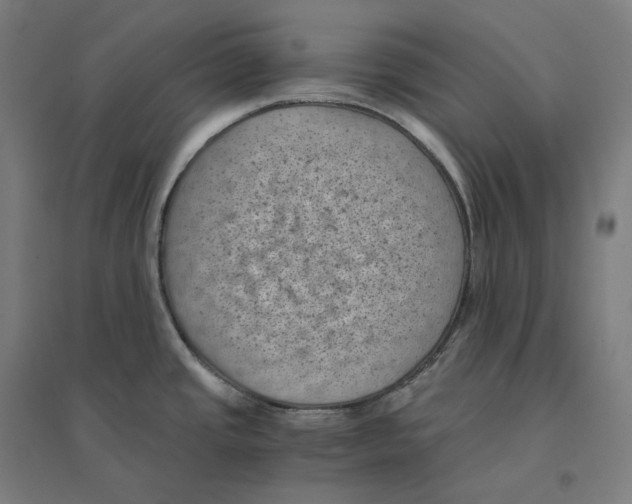 X0000094451437200712061151