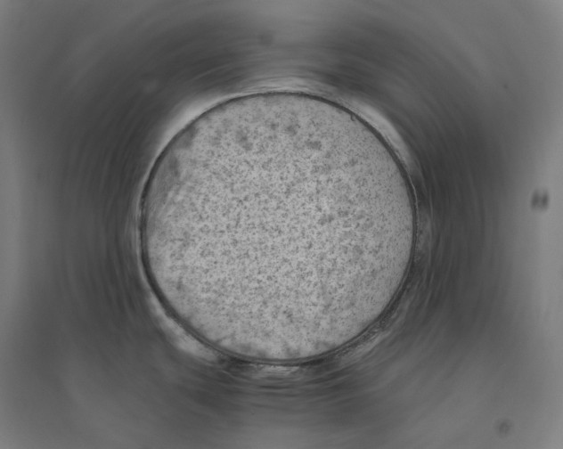 X0000094451439200712061151