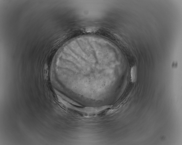 X0000094451443200712061150