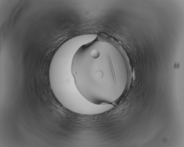 X0000094451444200712061150