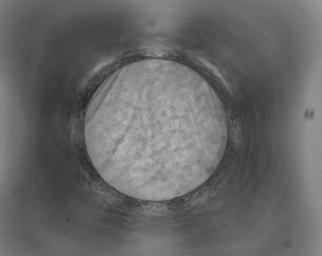 X0000094451446200712061150