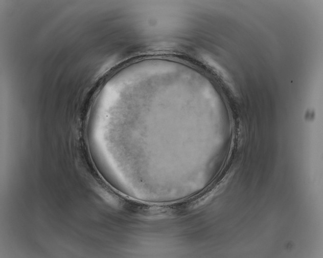 X0000094451449200712061150