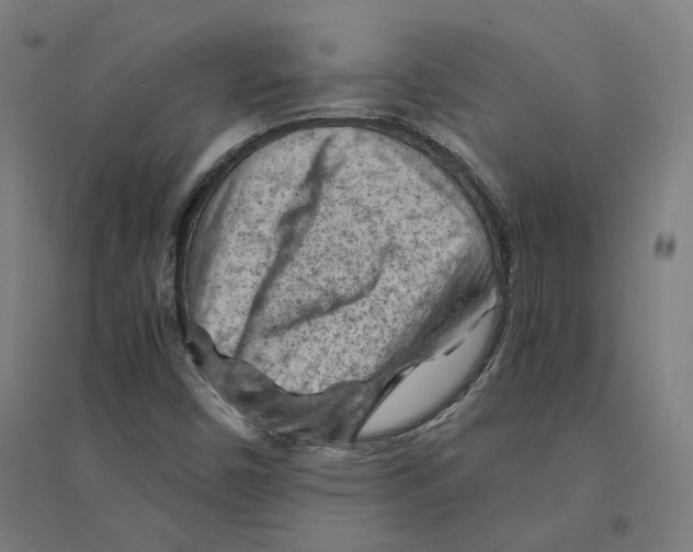 X0000094451450200712061150