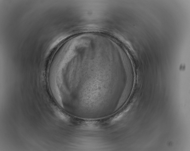 X0000094451453200712061150