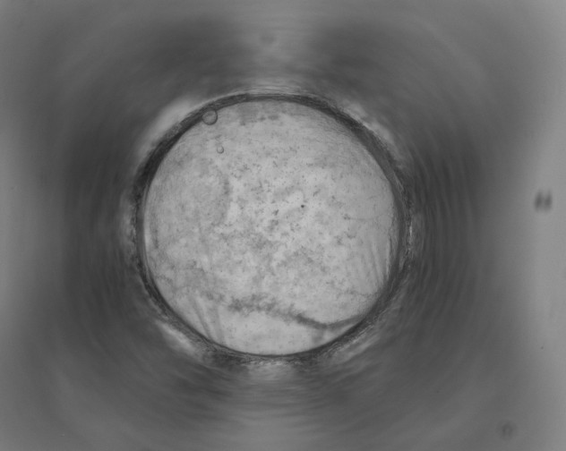 X0000094451454200712061150