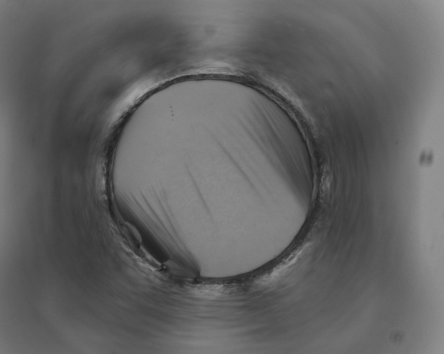 X0000094451455200712061150