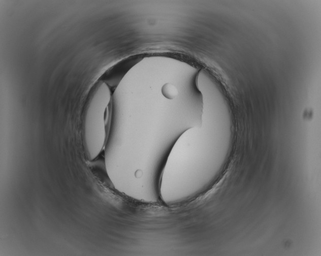 X0000094451457200712061150