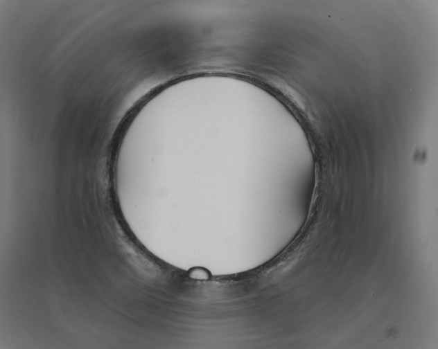 X0000094451458200712061150