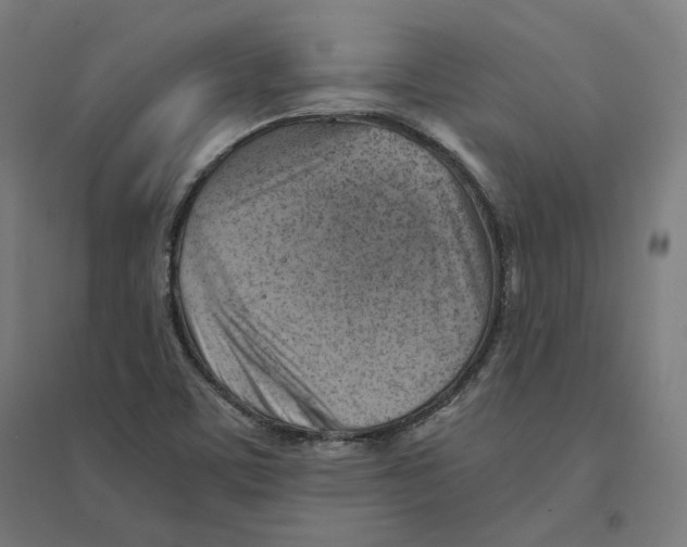 X0000094451459200712061150