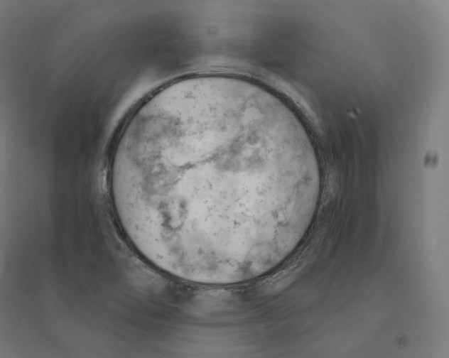 X0000094451462200712061150