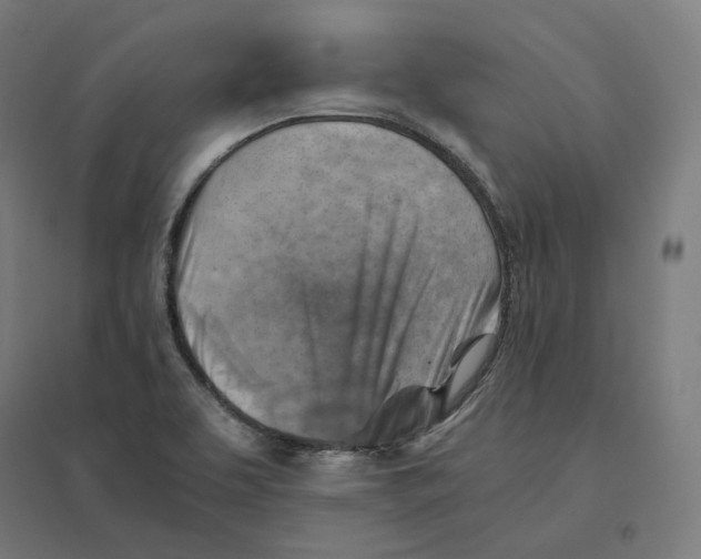 X0000094451463200712061150