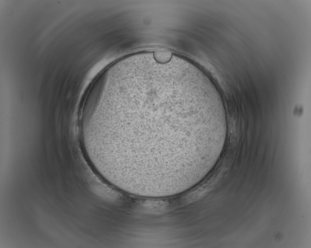 X0000094451466200712061150