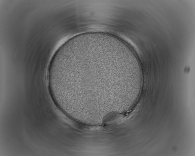 X0000094451467200712061150