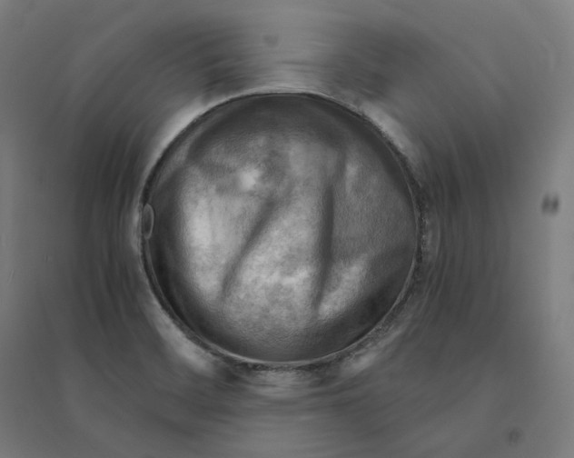 X0000094451468200712061150