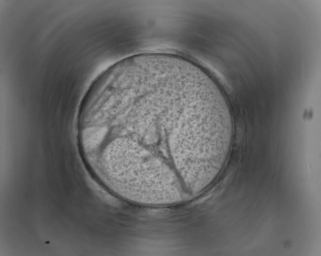 X0000094451471200712061150