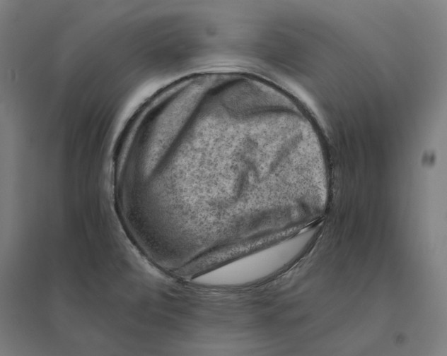 X0000094451472200712061150