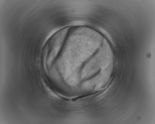 X0000094451473200712061150