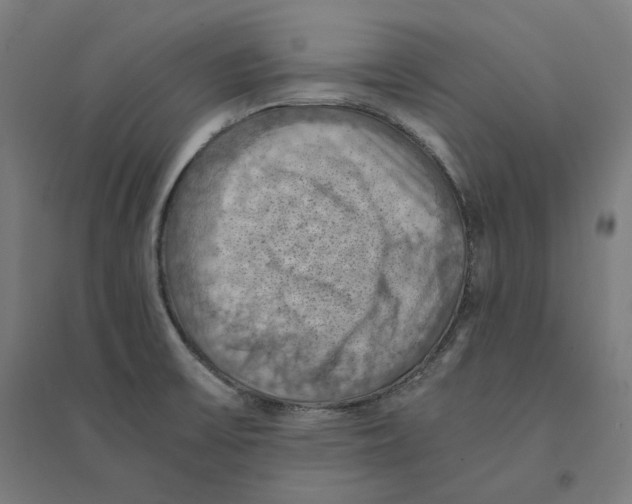 X0000094451475200712061150