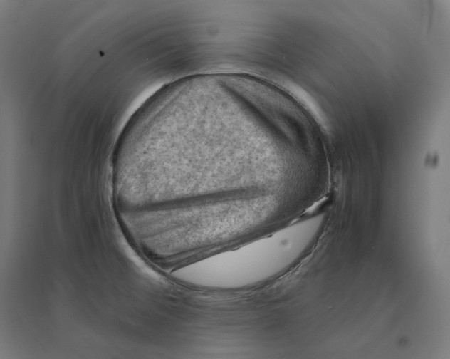 X0000094451476200712061150