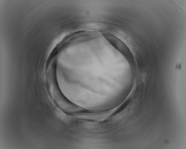 X0000094451477200712061150