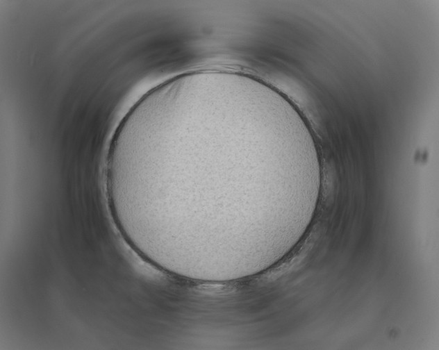 X0000094451478200712061150