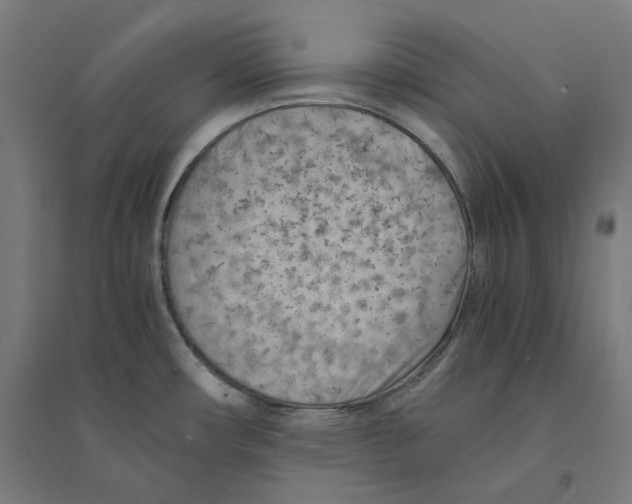 X0000094451482200712061149