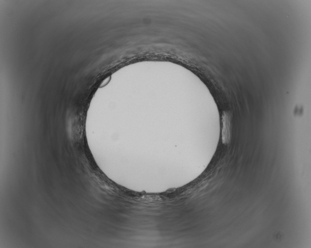 X0000094451491200712061149