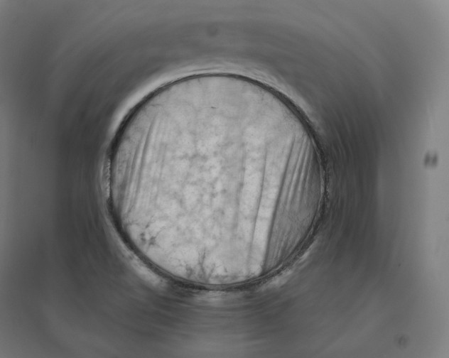 X0000094451510200712061149