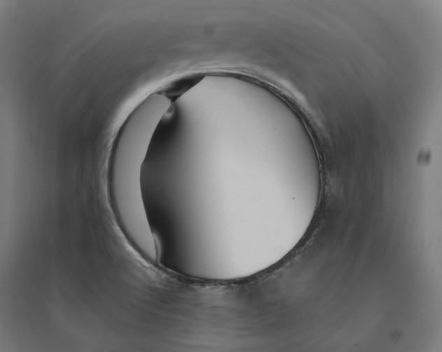 X0000094451512200712061149